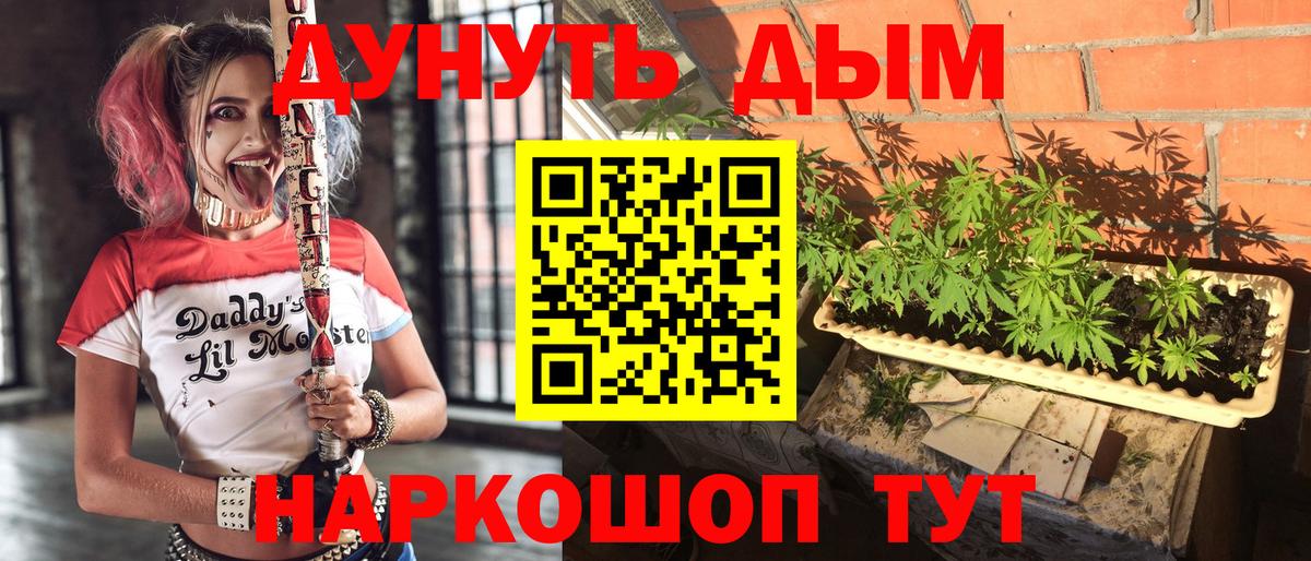 Каннабис индика  Вход с VPN  Канабис индика  Кольчугино  Канабис марихуана  Марихуана Ganja 